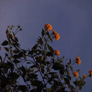 中国操逼视频免费
